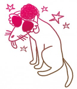DISCO DOG