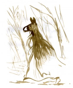 Peau d'âne
