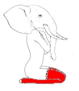 Elephant women - Blonde Redhead