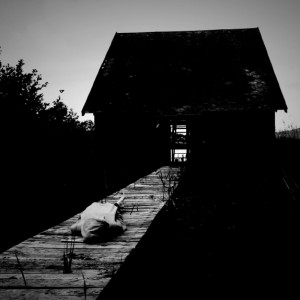 squares_61