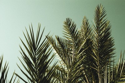 morocco_2_18