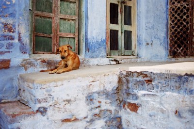 india_05