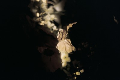 09