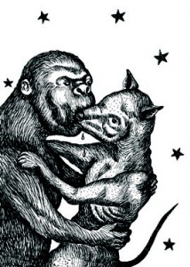 Pot-pourri "Conseil du singe"-2006
