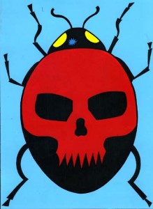 coccinelle