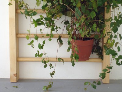 espaliers détail verdure