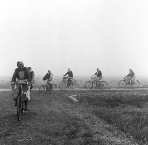 femmes-velo