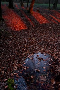 Verdun, 30000 jours plus tard - 05