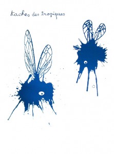 taches des tropiques