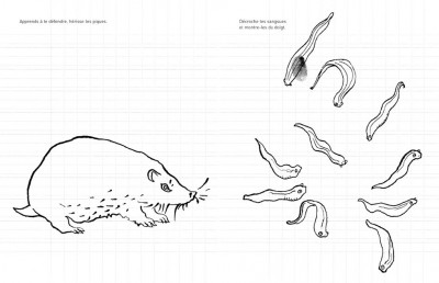 2-cahier_p3