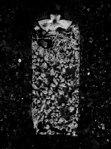 nm_tube005_3x4NB