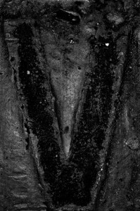 nm_livraison_4518_VNB