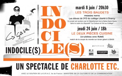indociles_flyer_web