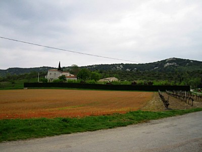 Le paysage
