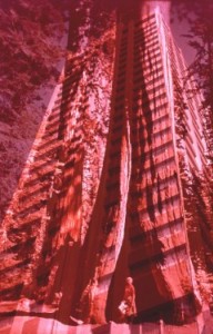 img_07_13