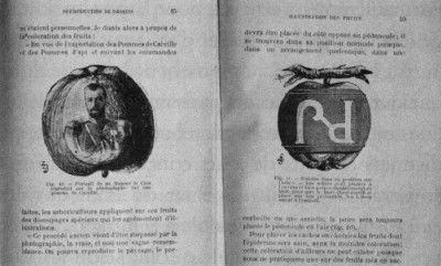 L. Loiseau, De l'ensachage des fruits, 1903.Dessin d'une pomme avec la photographie du Tsar de Russie. Elle fut réalisée entre 1898 et 1902.