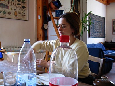Sandrine