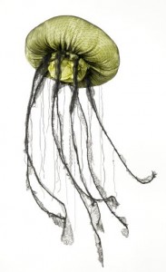 Sybille - 2009