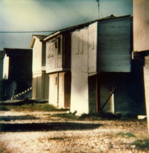 Paysage - 7