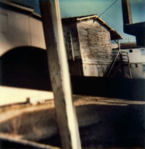 Paysage - 8