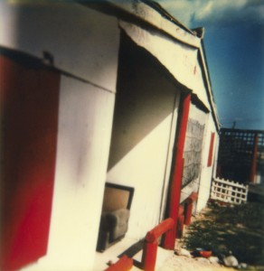 Paysage - 11