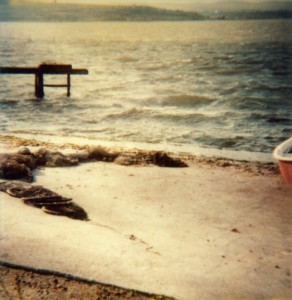 Paysage - 14