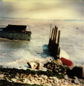 Paysage - 15