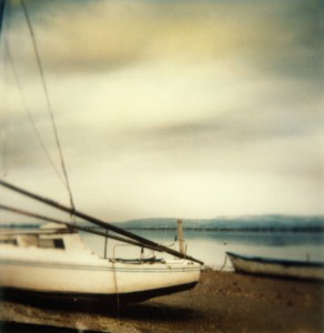 Paysage - 17