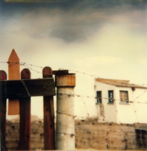 Paysage - 19