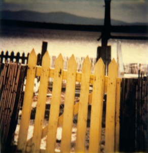Paysage - 23