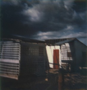 Paysage - 24