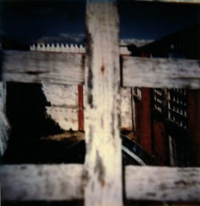 Paysage - 26