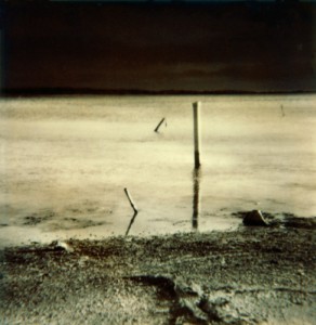 Paysage - 30