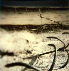 Paysage - 36