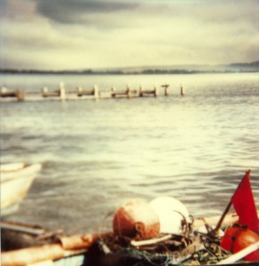 Paysage - 41