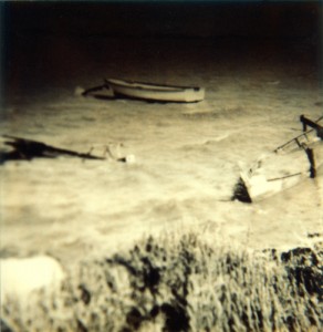 Paysage - 47