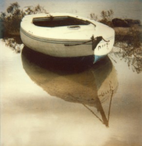 Paysage - 49