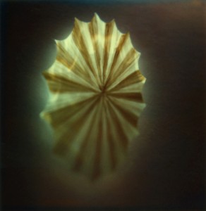 Glasstype 19