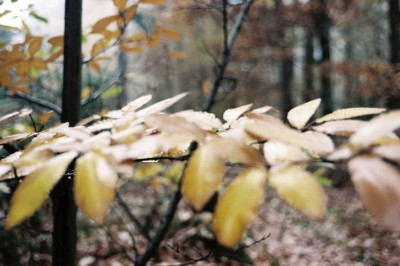 F1000016_b