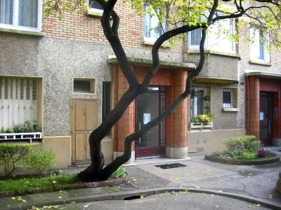 La cour de mon immeuble