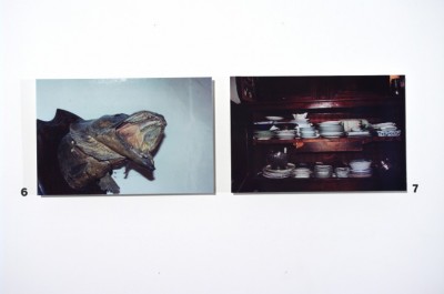 Portrait de famille - exposition 5