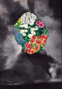 Massifs - Carton