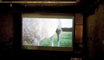 Points de vues, merveilles du monde - soirée de projection - 3