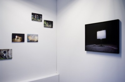 Au travers - exposition 3