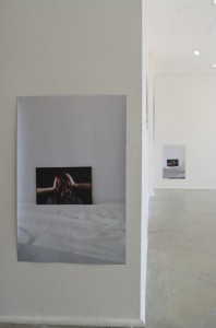 La reproduction - exposition 4