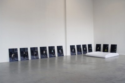 La reproduction - exposition 5
