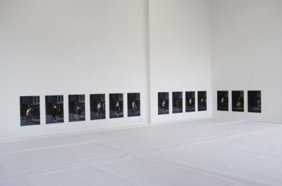 La reproduction - exposition 12