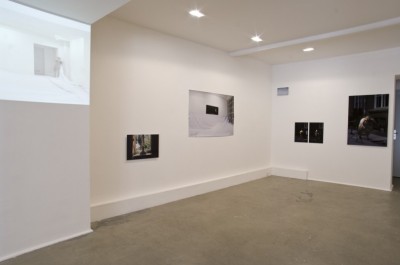 La reproduction - exposition