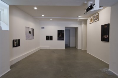 La reproduction - exposition 11