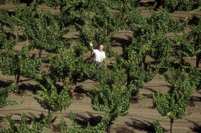 Robert Mondavi, Napa Valley, 1986